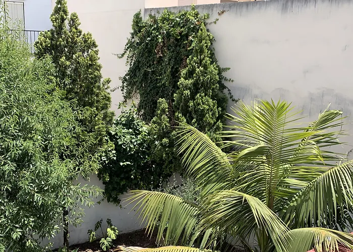 Nerjarooms Pensjonat Nerja