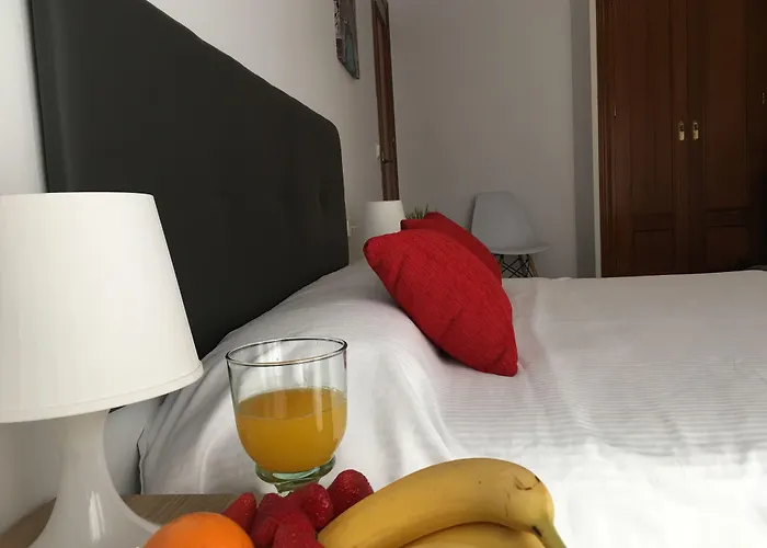 Nerjarooms Πανσιόν 3*